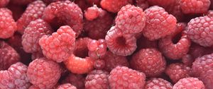 Preview wallpaper raspberries, berries, macro, background, red