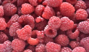 Preview wallpaper raspberries, berries, macro, background, red