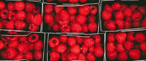 Preview wallpaper raspberries, berries, ripe, baskets