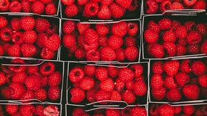 Preview wallpaper raspberries, berries, ripe, baskets