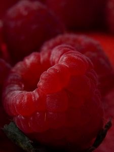 Preview wallpaper raspberries, berries, ripe, fresh, red, macro