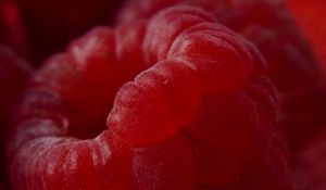 Preview wallpaper raspberries, berries, ripe, fresh, red, macro