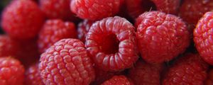 Preview wallpaper raspberries, berries, ripe, red, macro