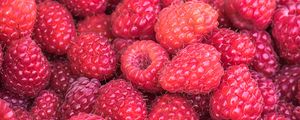 Preview wallpaper raspberries, berries, summer, ripe, vitamins