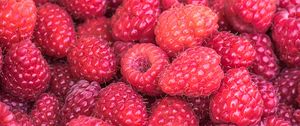 Preview wallpaper raspberries, berries, summer, ripe, vitamins