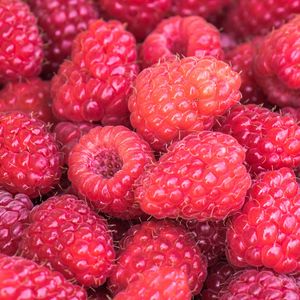 Preview wallpaper raspberries, berries, summer, ripe, vitamins