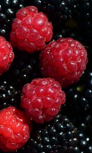 Preview wallpaper raspberries, blackberries, berries, ripe