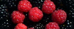 Preview wallpaper raspberries, blackberries, berries, ripe