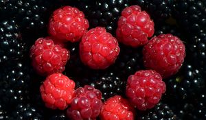 Preview wallpaper raspberries, blackberries, berries, ripe