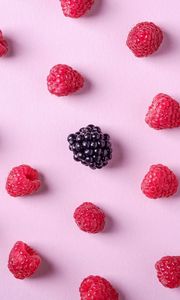 Preview wallpaper raspberries, blackberries, berries, ripe, fresh