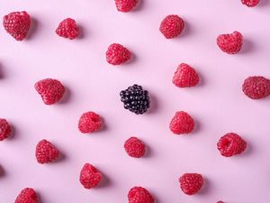 Preview wallpaper raspberries, blackberries, berries, ripe, fresh