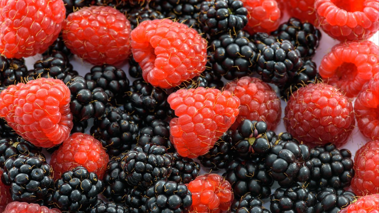 Wallpaper raspberries, blackberries, juicy, ripe, berries