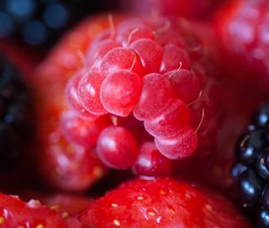 Preview wallpaper raspberries, blackberries, strawberries, berries, macro, food