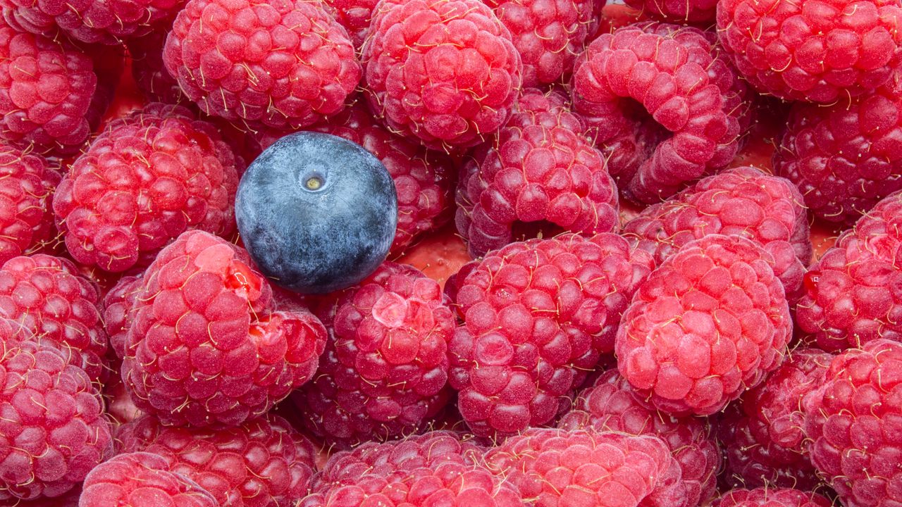 Wallpaper raspberries, blueberries, berries, ripe, macro