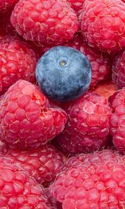 Preview wallpaper raspberries, blueberries, berries, ripe, macro