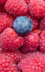 Preview wallpaper raspberries, blueberries, berries, ripe, macro