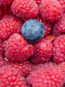 Preview wallpaper raspberries, blueberries, berries, ripe, macro