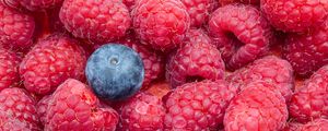 Preview wallpaper raspberries, blueberries, berries, ripe, macro