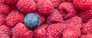 Preview wallpaper raspberries, blueberries, berries, ripe, macro