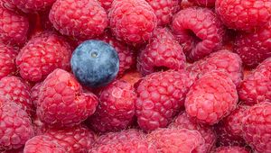 Preview wallpaper raspberries, blueberries, berries, ripe, macro