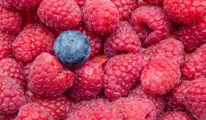 Preview wallpaper raspberries, blueberries, berries, ripe, macro