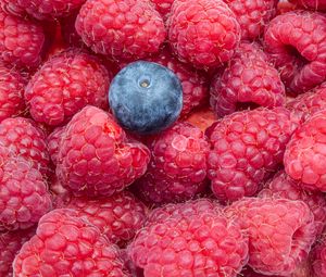 Preview wallpaper raspberries, blueberries, berries, ripe, macro