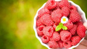 Preview wallpaper raspberries, bowl, blur, flower, ripe