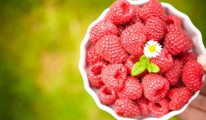 Preview wallpaper raspberries, bowl, blur, flower, ripe