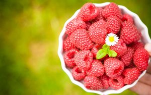 Preview wallpaper raspberries, bowl, blur, flower, ripe