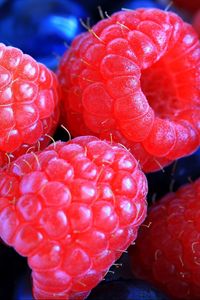 Preview wallpaper raspberries, cranberries, berry, close-up
