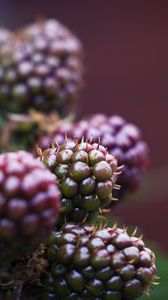 Preview wallpaper raspberry, berries, macro, blur