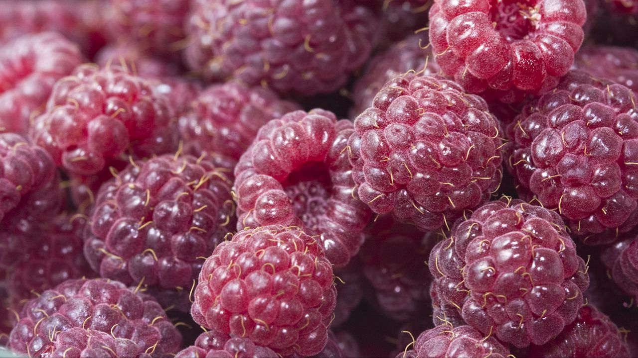 Wallpaper raspberry, berries, red, ripe, juicy