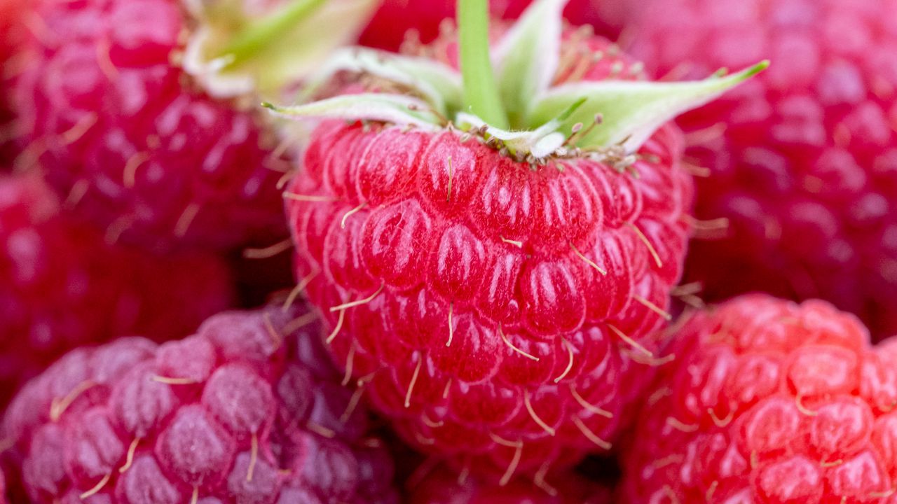 Wallpaper raspberry, berries, ripe, juicy, close-up