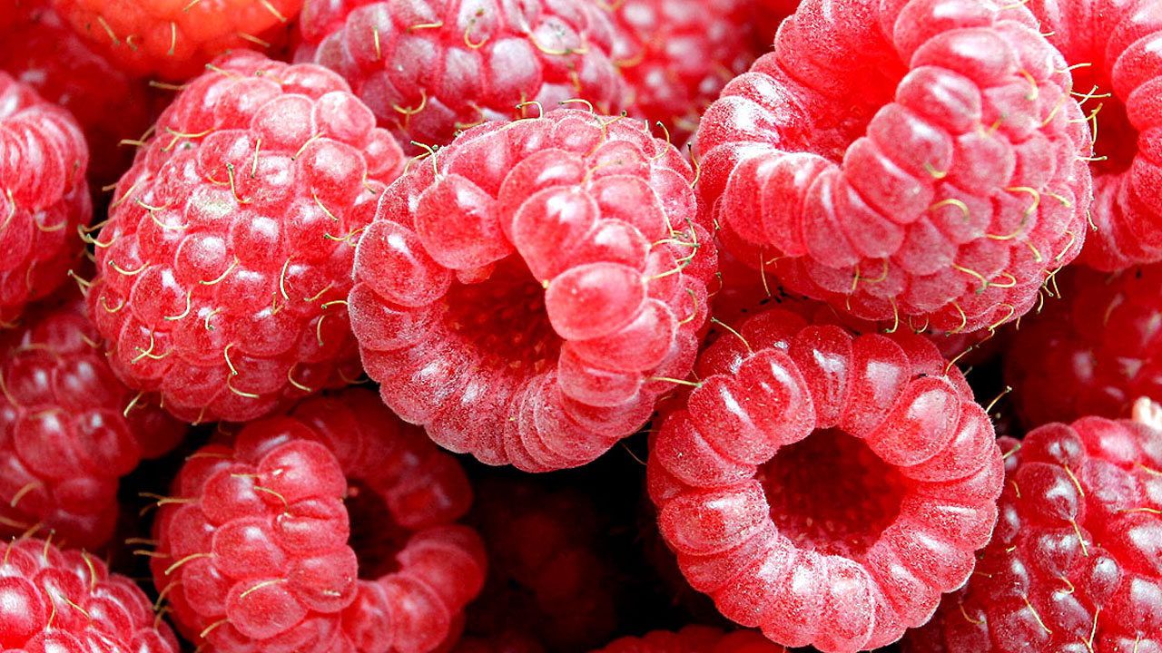 Wallpaper raspberry, berry, fresh