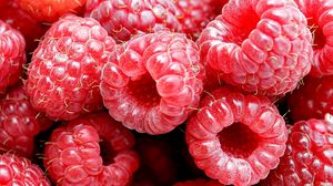 Preview wallpaper raspberry, berry, fresh