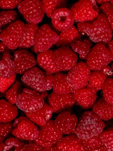 Preview wallpaper raspberry, berry, fruit, dessert, red