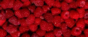 Preview wallpaper raspberry, berry, fruit, dessert, red