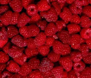 Preview wallpaper raspberry, berry, fruit, dessert, red