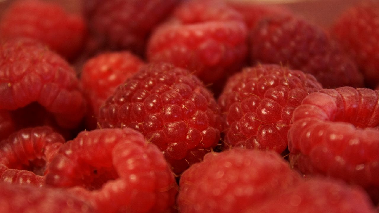 Wallpaper raspberry, berry, fruit, macro, red