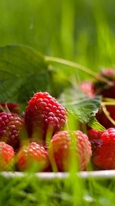 Preview wallpaper raspberry, berry, grass, leaf, plate