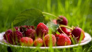 Preview wallpaper raspberry, berry, grass, leaf, plate