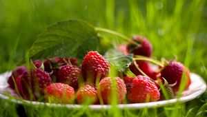 Preview wallpaper raspberry, berry, grass, leaf, plate