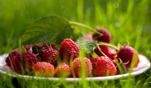 Preview wallpaper raspberry, berry, grass, leaf, plate