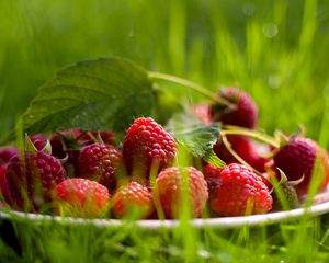 Preview wallpaper raspberry, berry, grass, leaf, plate