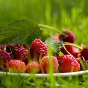 Preview wallpaper raspberry, berry, grass, leaf, plate