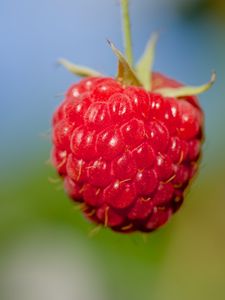 Preview wallpaper raspberry, berry, red, food, macro