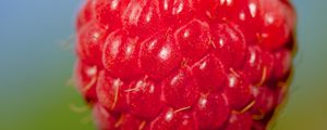 Preview wallpaper raspberry, berry, red, food, macro