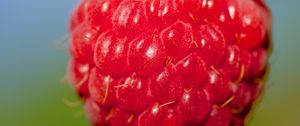 Preview wallpaper raspberry, berry, red, food, macro