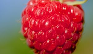 Preview wallpaper raspberry, berry, red, food, macro