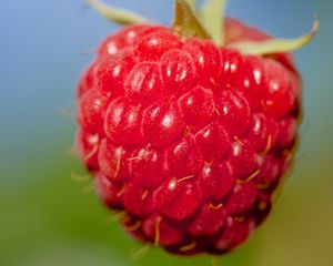 Preview wallpaper raspberry, berry, red, food, macro